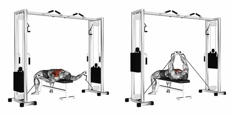 Exercise Database Chest18 Flat Cable Fly Jase Stuart The Better Body Coach